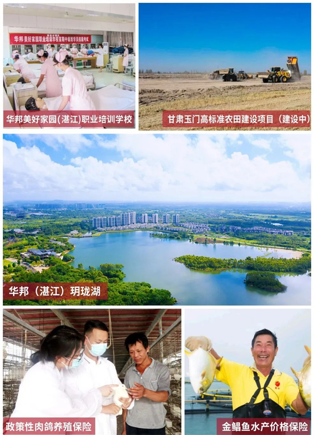 1688522548728111.jpg 10.jpg