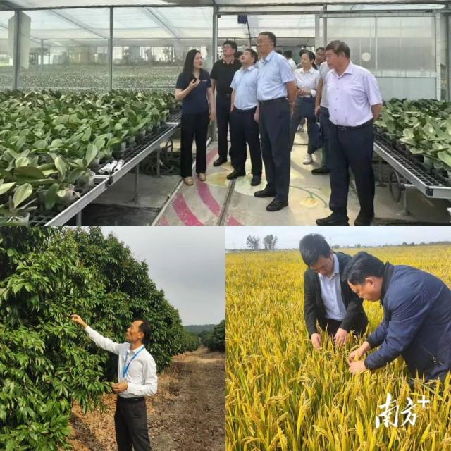 1710206067918903.jpg 1c4f6050406e4f719b46de72475ab9f3_batchwm.jpg